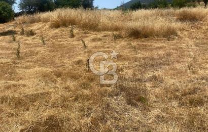 CB GİZ'DEN KAŞ SARIBELENDE SATILIK TARLA