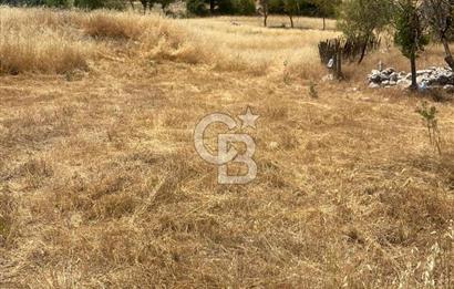 CB GİZ'DEN KAŞ SARIBELENDE SATILIK TARLA