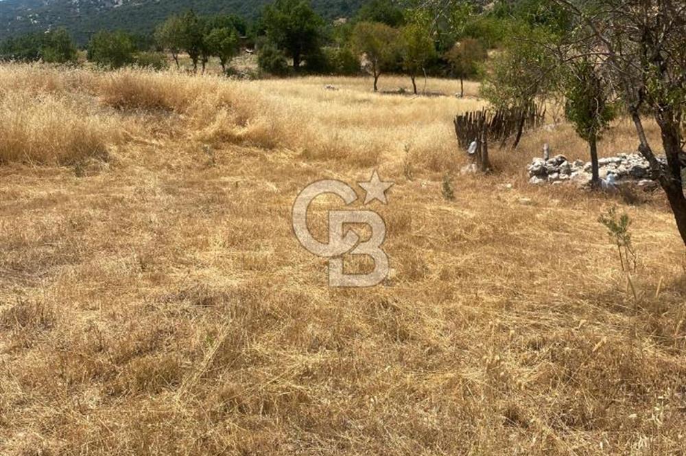 CB GİZ'DEN KAŞ SARIBELENDE SATILIK TARLA