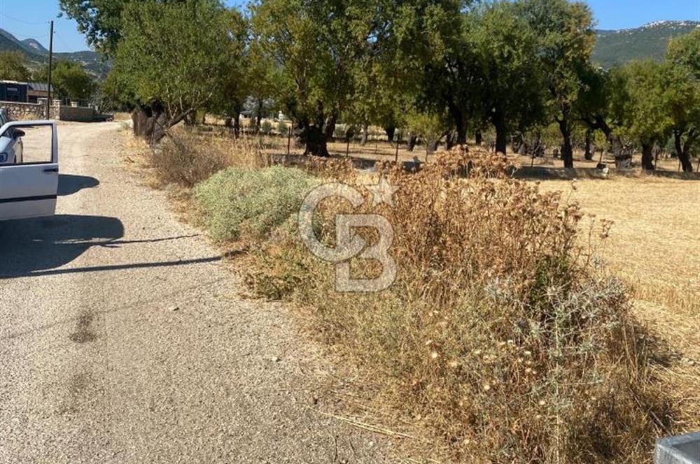 CB GİZ'DEN KAŞ SARIBELENDE SATILIK TARLA