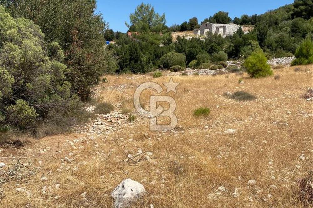 CB GİZ'DEN KAŞ SARIBELENDE SATILIK TARLA