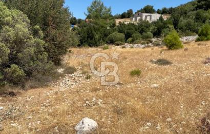 CB GİZ'DEN KAŞ SARIBELENDE SATILIK TARLA