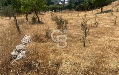 CB GİZ'DEN KAŞ SARIBELENDE SATILIK TARLA