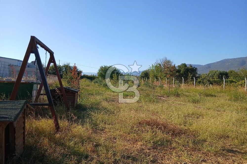 Kemalpaşa Yukarıkızılca'da Satılık Arazi