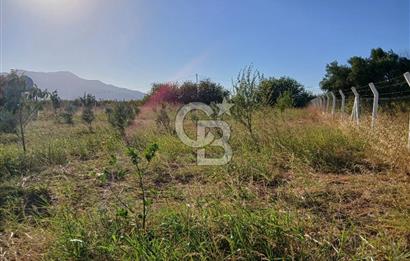 Kemalpaşa Yukarıkızılca'da Satılık Arazi