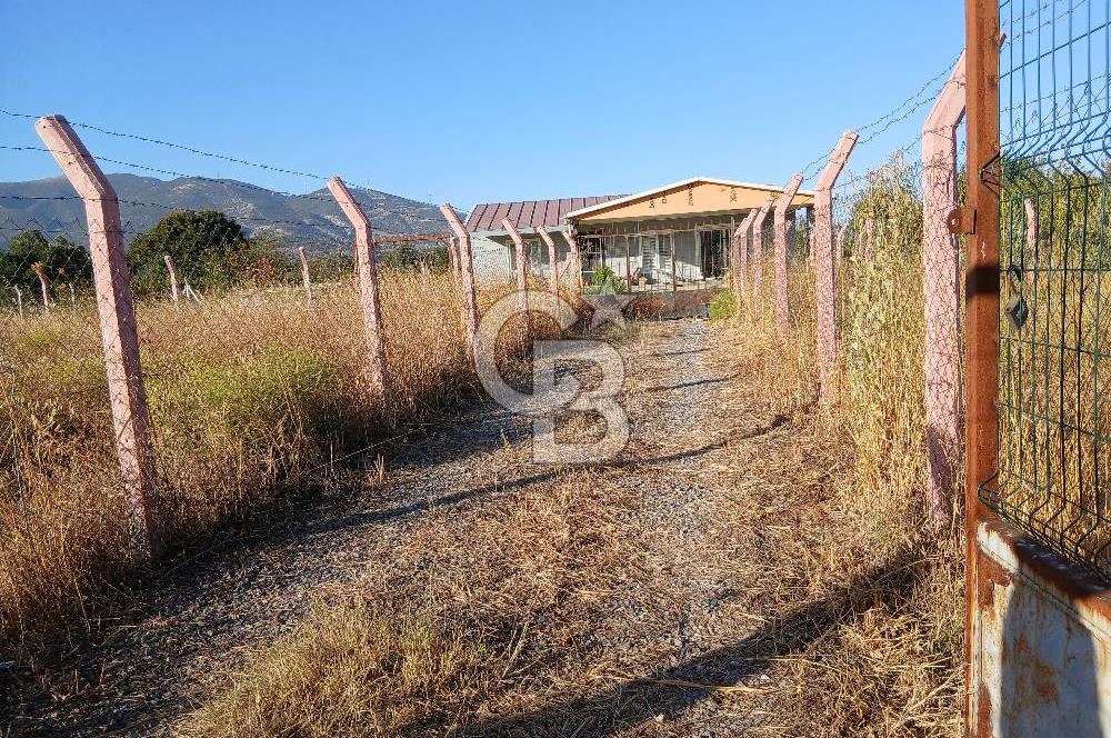 Kemalpaşa Yukarıkızılca'da Satılık Arazi
