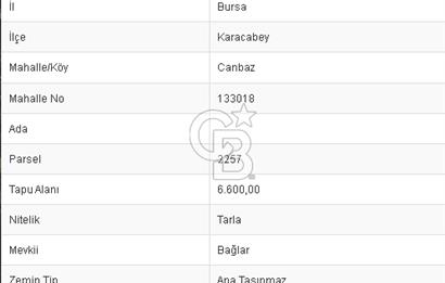 CB BLACK'TAN CANBAZ KÖYİÇİ MUHTEŞEM ARAZİ