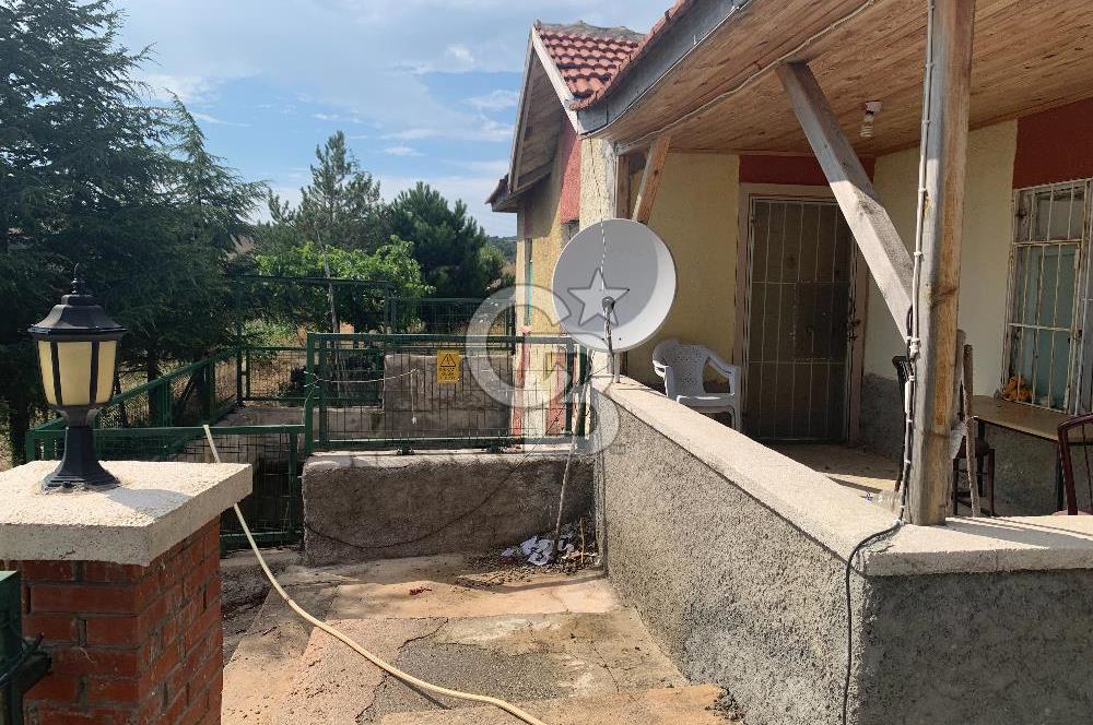 ÇUBUK DAĞKALAFAT KÖYÜNDE 22 DÖNÜM SATILIK CEVİZ BAHÇESİ