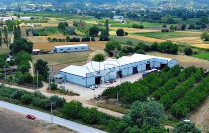 CB BLACK NİLÜFER YAYLACIK SATILIK 4000M2 FABRİKA*
