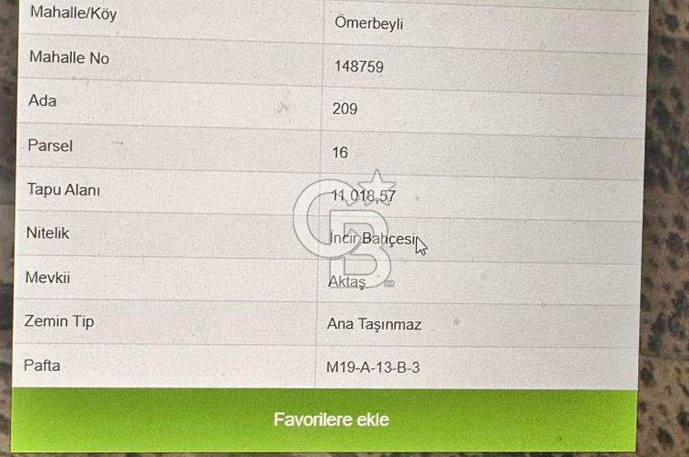 AYDIN GERMENCİK ÖMERBEYLİ SATILIK İNCİR BAHÇESİ
