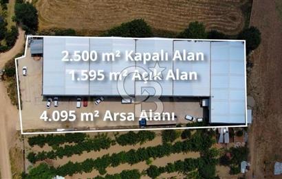 CB BLACK NİLÜFER YAYLACIK SATILIK 4000M2 FABRİKA*
