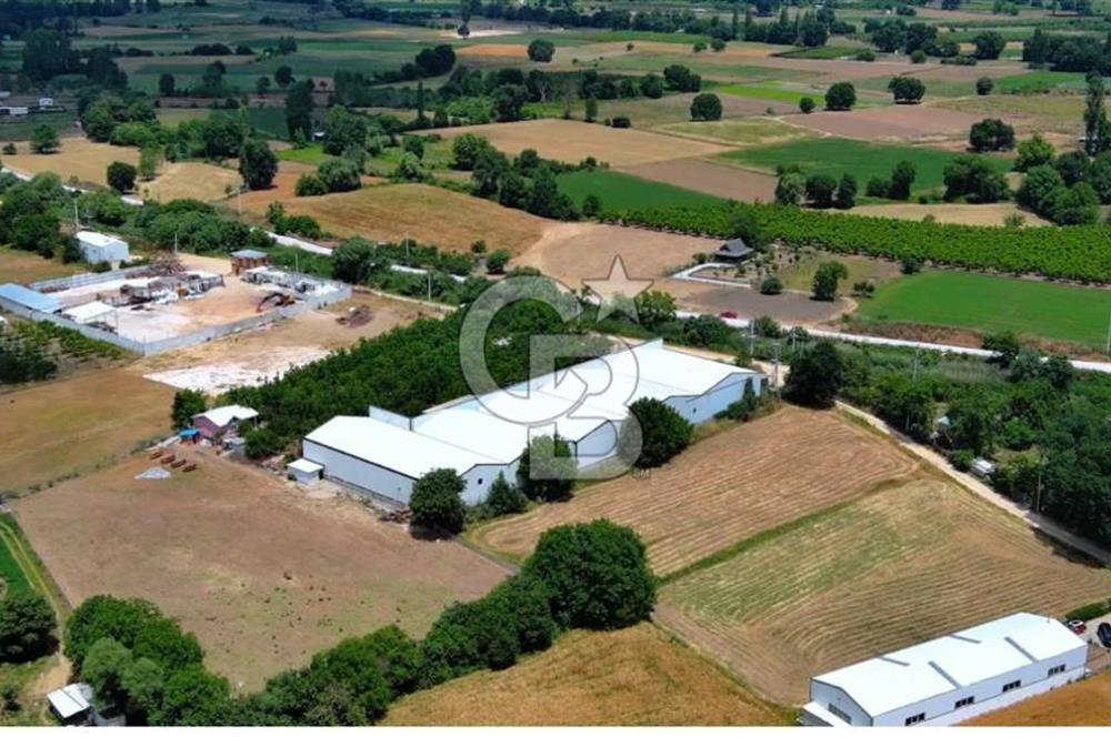 CB BLACK NİLÜFER YAYLACIK SATILIK 4000M2 FABRİKA*