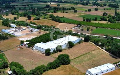 CB BLACK NİLÜFER YAYLACIK SATILIK 4000M2 FABRİKA*