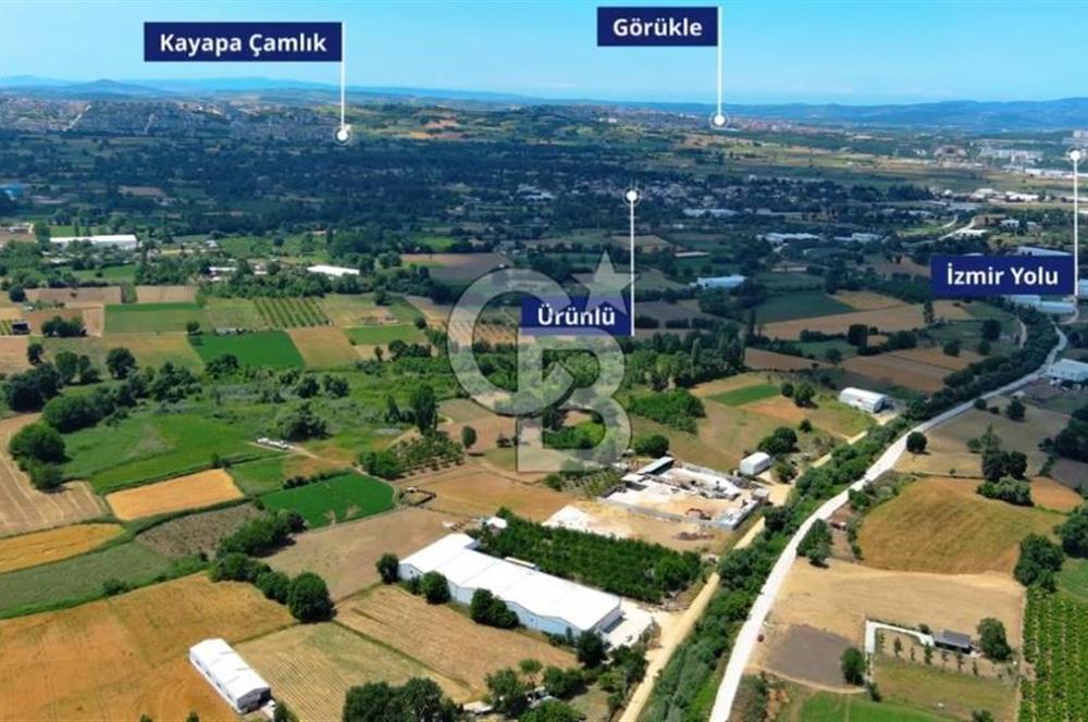CB BLACK NİLÜFER YAYLACIK SATILIK 4000M2 FABRİKA*