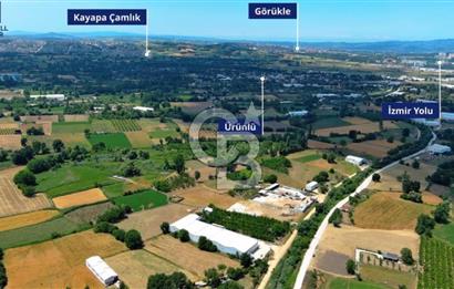 CB BLACK NİLÜFER YAYLACIK SATILIK 4000M2 FABRİKA*