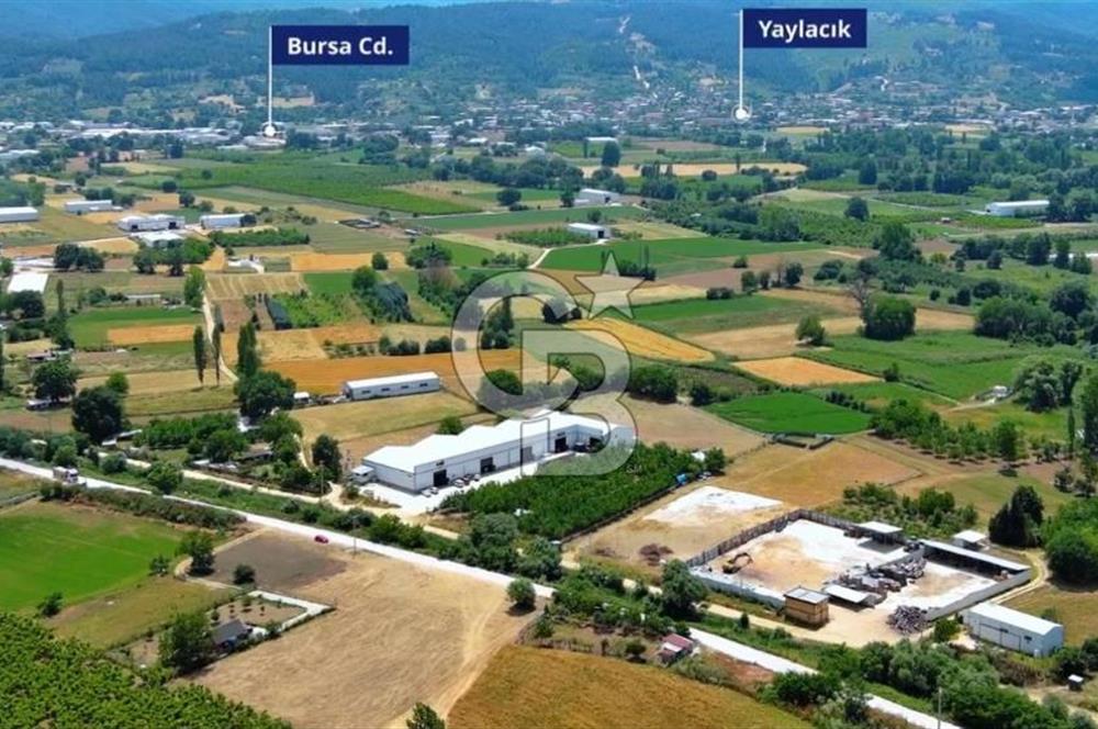CB BLACK NİLÜFER YAYLACIK SATILIK 4000M2 FABRİKA*