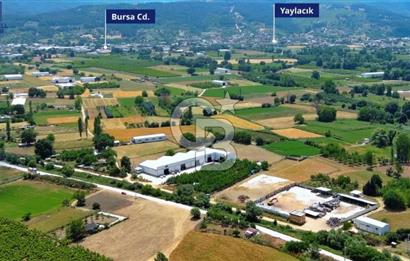 CB BLACK NİLÜFER YAYLACIK SATILIK 4000M2 FABRİKA*