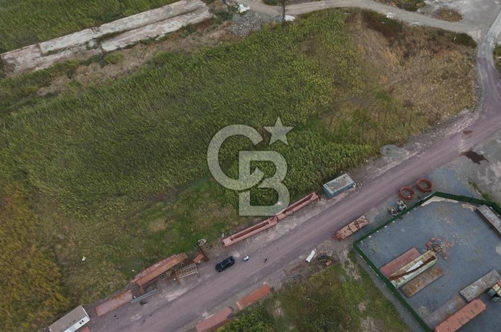 YALOVA ALTINOVA TERSANELER BÖLGESİNDE 3 DÖNÜM, İMARLI, KUPON ARSA!