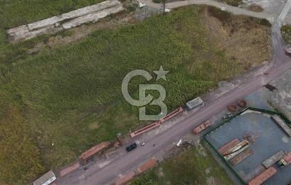 YALOVA ALTINOVA TERSANELER BÖLGESİNDE 3 DÖNÜM, İMARLI, KUPON ARSA!