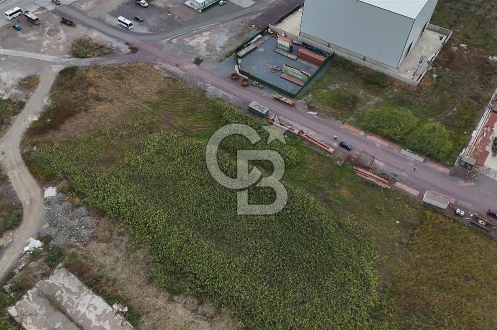 YALOVA ALTINOVA TERSANELER BÖLGESİNDE 3 DÖNÜM, İMARLI, KUPON ARSA!