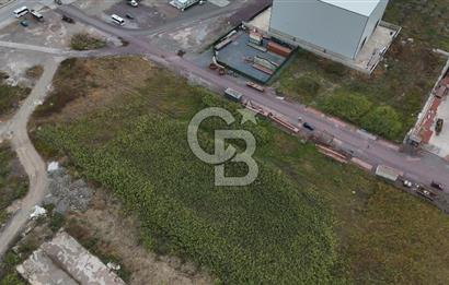 YALOVA ALTINOVA TERSANELER BÖLGESİNDE 3 DÖNÜM, İMARLI, KUPON ARSA!
