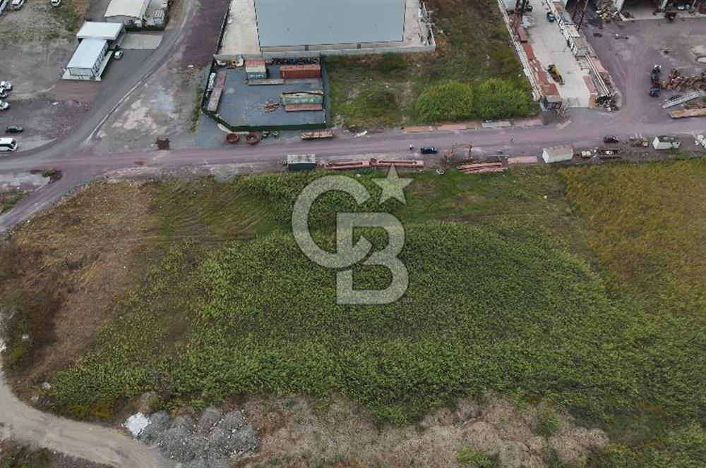YALOVA ALTINOVA TERSANELER BÖLGESİNDE 3 DÖNÜM, İMARLI, KUPON ARSA!