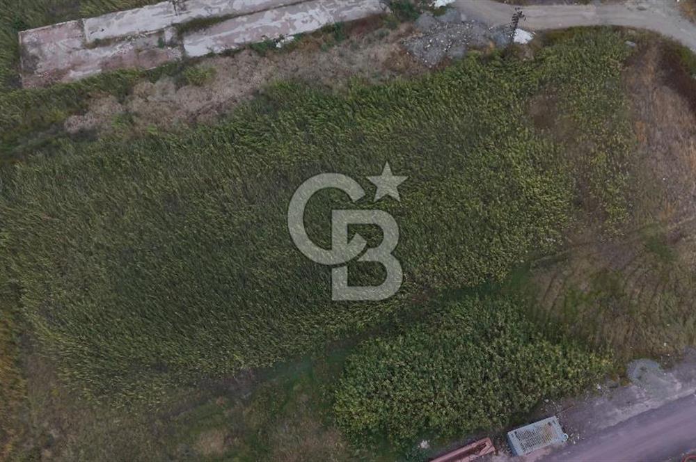 YALOVA ALTINOVA TERSANELER BÖLGESİNDE 3 DÖNÜM, İMARLI, KUPON ARSA!