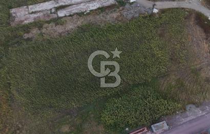 YALOVA ALTINOVA TERSANELER BÖLGESİNDE 3 DÖNÜM, İMARLI, KUPON ARSA!