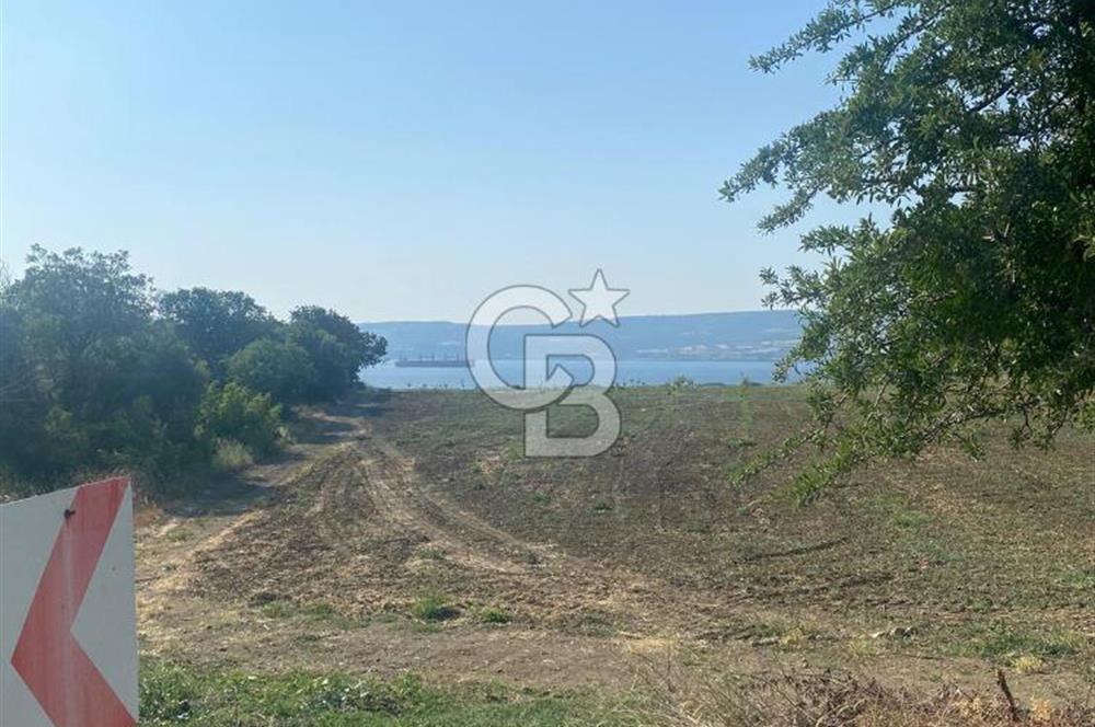 ÇANAKKALE LAPSEKİ KANGIRLI SATILIK ARSA