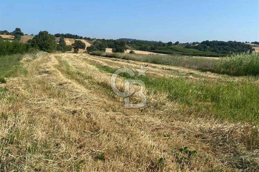 ÇANAKKALE LAPSEKİ KANGIRLI SATILIK ARSA