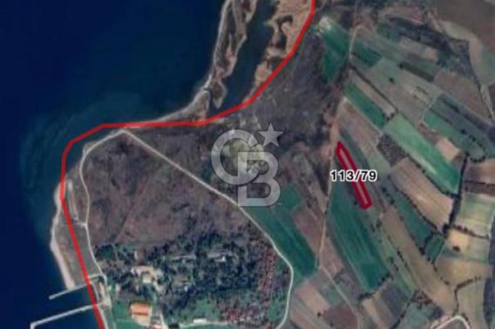 ÇANAKKALE LAPSEKİ KANGIRLI SATILIK ARSA