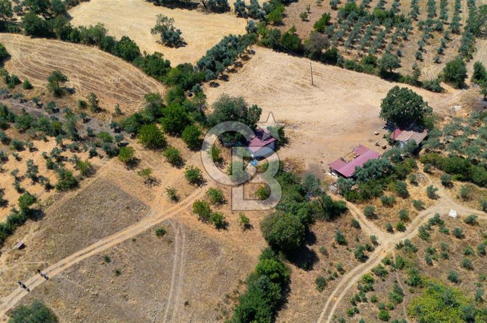 AKKAYA'DA HOBİ BAHÇESİ TİNY HOUSE UYGUN "TARLA"