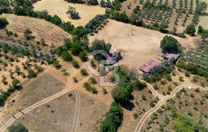 AKKAYA'DA HOBİ BAHÇESİ TİNY HOUSE UYGUN "TARLA"
