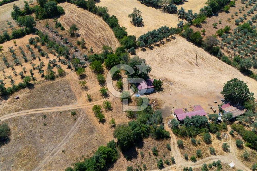 AKKAYA'DA HOBİ BAHÇESİ TİNY HOUSE UYGUN "TARLA"