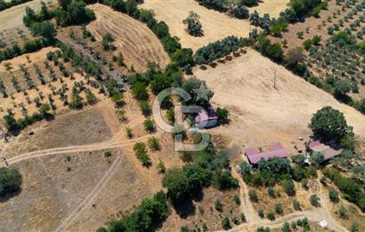 AKKAYA'DA HOBİ BAHÇESİ TİNY HOUSE UYGUN "TARLA"