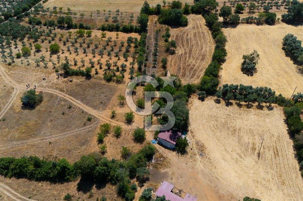 AKKAYA'DA HOBİ BAHÇESİ TİNY HOUSE UYGUN "TARLA"
