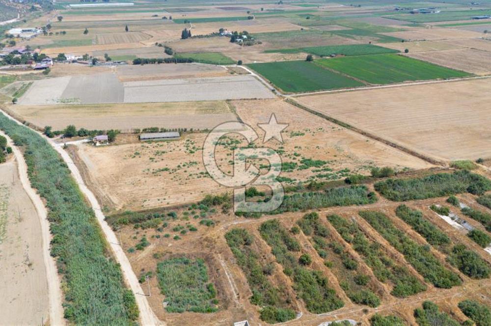 MİLAS YAŞYER MAH. TEK TAPU 35 DÖNÜM KARAYOLU'NA YAKIN "TARLA"