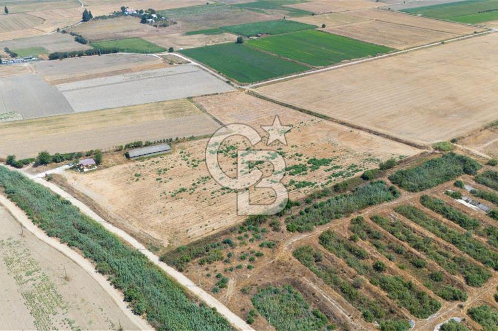 MİLAS YAŞYER MAH. TEK TAPU 35 DÖNÜM KARAYOLU'NA YAKIN "TARLA"