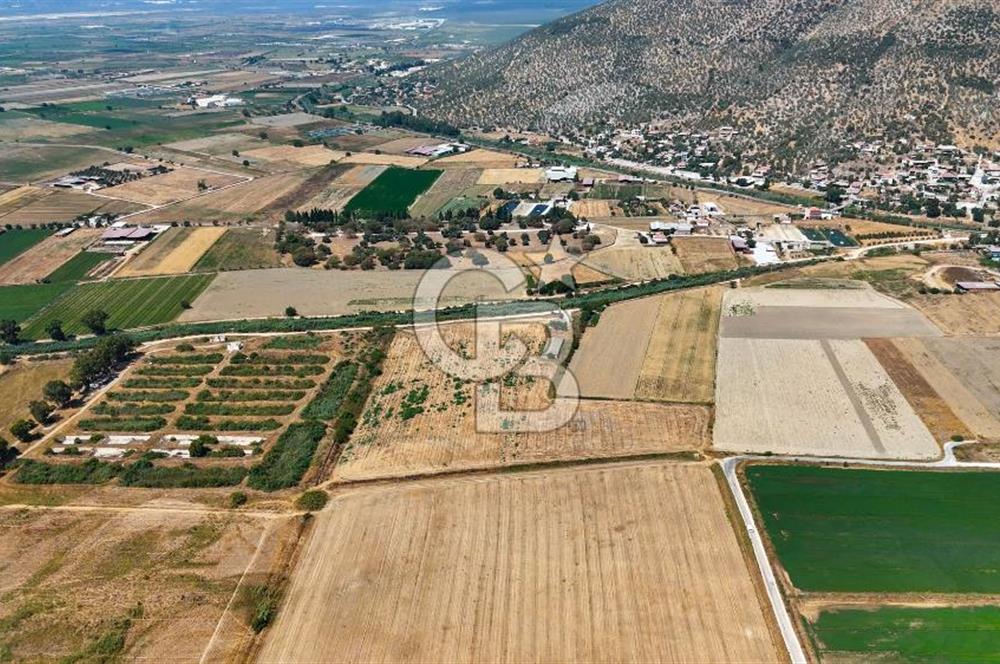 MİLAS YAŞYER MAH. TEK TAPU 35 DÖNÜM KARAYOLU'NA YAKIN "TARLA"