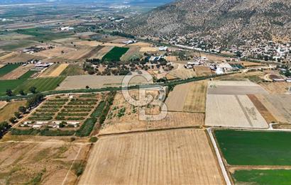 MİLAS YAŞYER MAH. TEK TAPU 35 DÖNÜM KARAYOLU'NA YAKIN "TARLA"