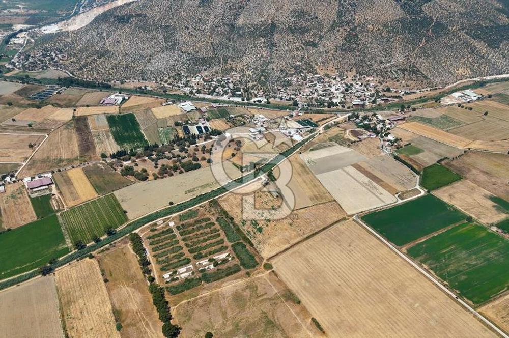 MİLAS YAŞYER MAH. TEK TAPU 35 DÖNÜM KARAYOLU'NA YAKIN "TARLA"