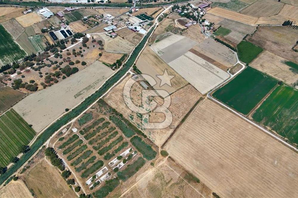 MİLAS YAŞYER MAH. TEK TAPU 35 DÖNÜM KARAYOLU'NA YAKIN "TARLA"
