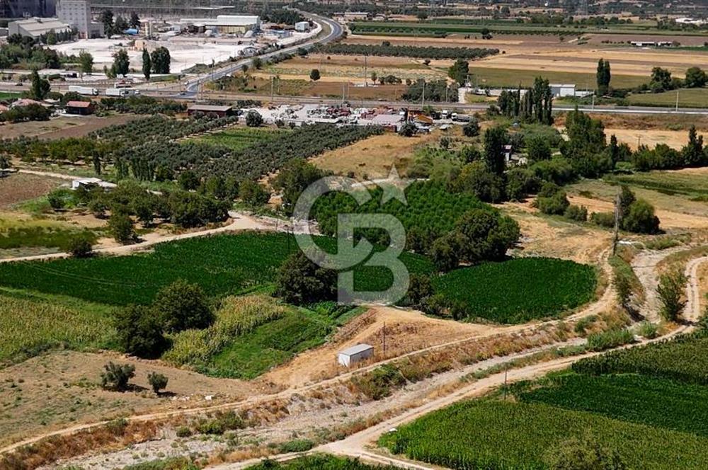 CB MARİNA'DAN YATAĞAN OVASINDA HOBİ BAHÇESİ FIRSAT SATILIK TARLA