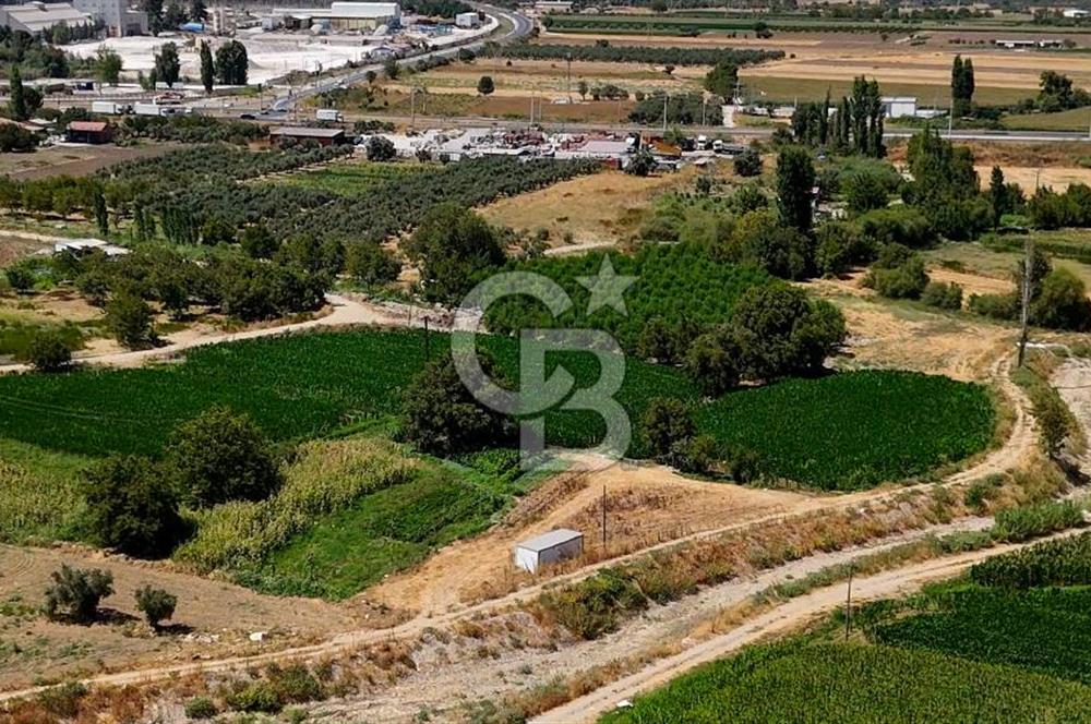 CB MARİNA'DAN YATAĞAN OVASINDA HOBİ BAHÇESİ FIRSAT SATILIK TARLA