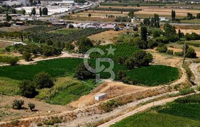CB MARİNA'DAN YATAĞAN OVASINDA HOBİ BAHÇESİ FIRSAT SATILIK TARLA