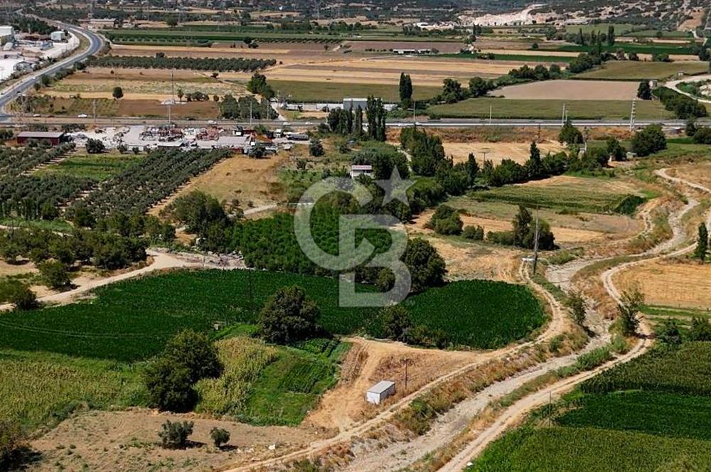 CB MARİNA'DAN YATAĞAN OVASINDA HOBİ BAHÇESİ FIRSAT SATILIK TARLA