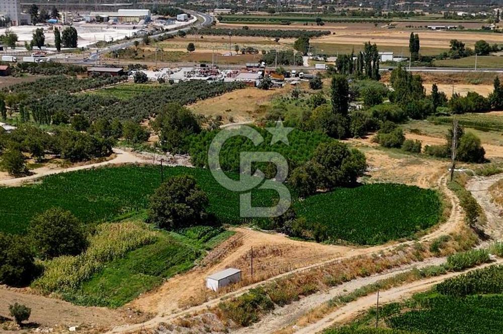 CB MARİNA'DAN YATAĞAN OVASINDA HOBİ BAHÇESİ FIRSAT SATILIK TARLA