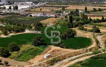CB MARİNA'DAN YATAĞAN OVASINDA HOBİ BAHÇESİ FIRSAT SATILIK TARLA
