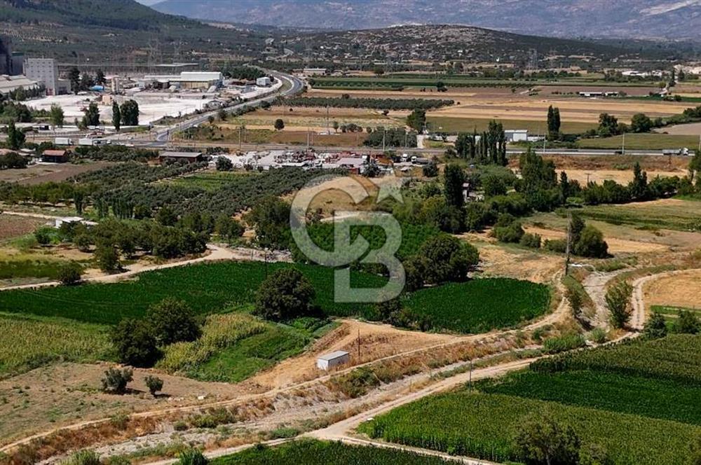 CB MARİNA'DAN YATAĞAN OVASINDA HOBİ BAHÇESİ FIRSAT SATILIK TARLA