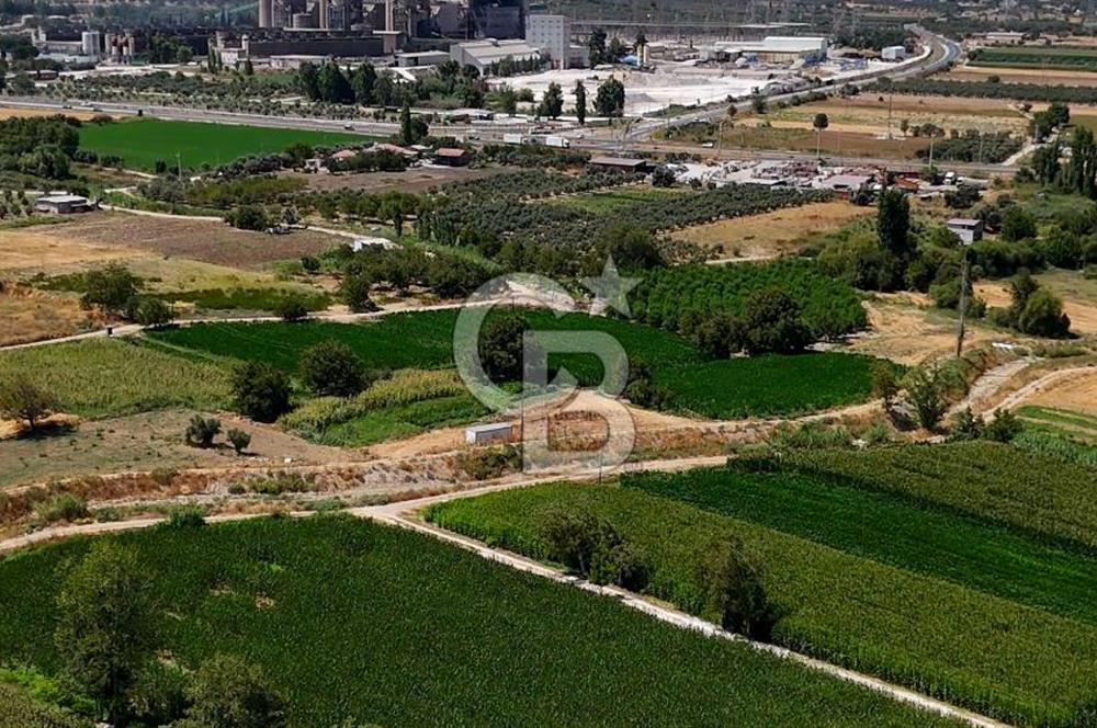 CB MARİNA'DAN YATAĞAN OVASINDA HOBİ BAHÇESİ FIRSAT SATILIK TARLA
